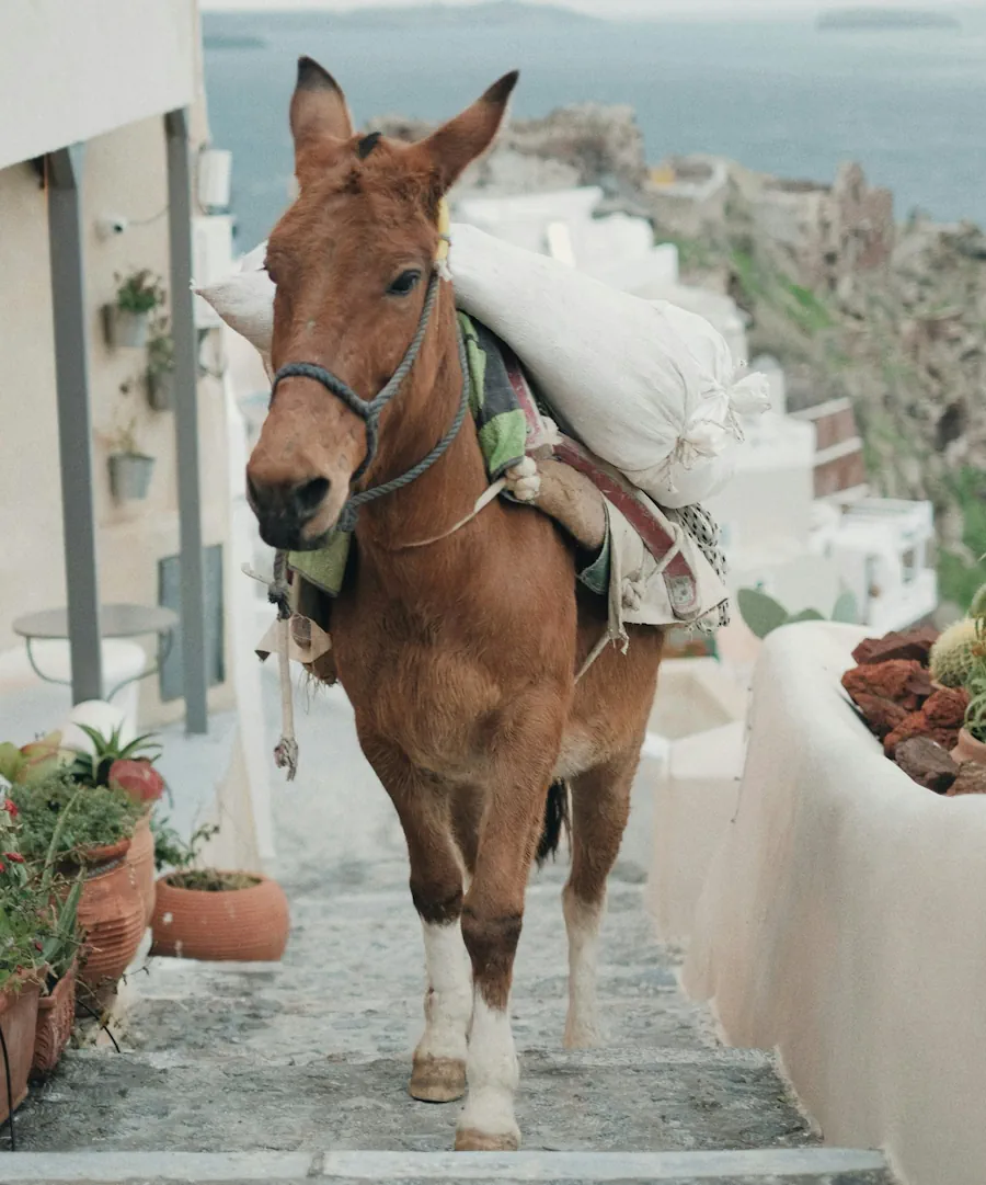 Santorini private tours